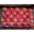 Red Fuji Apple(18kg carton,100-113-125PCS)